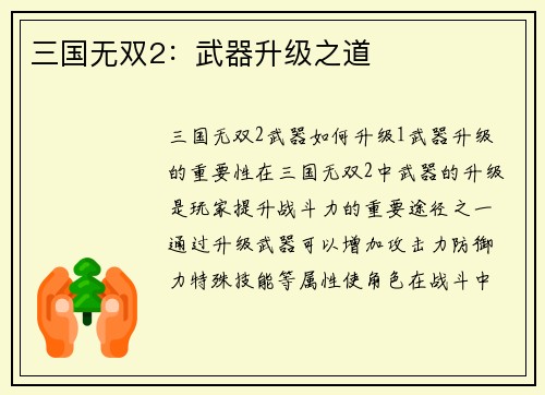 三国无双2：武器升级之道
